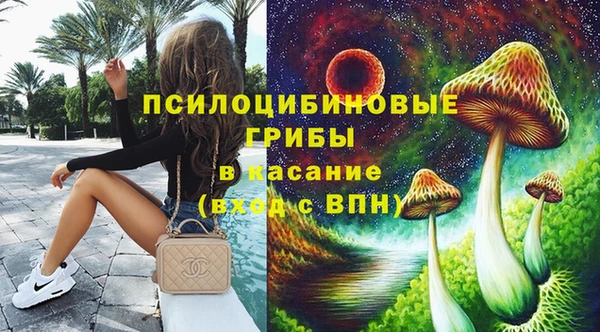 твердый Аркадак