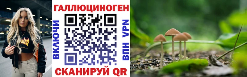 Галлюциногенные грибы Magic Shrooms  Сысерть 